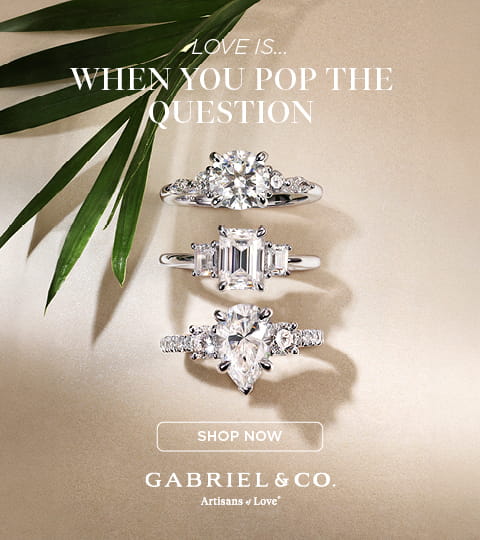 Gabriel and Co Engagement Rings at David Scott