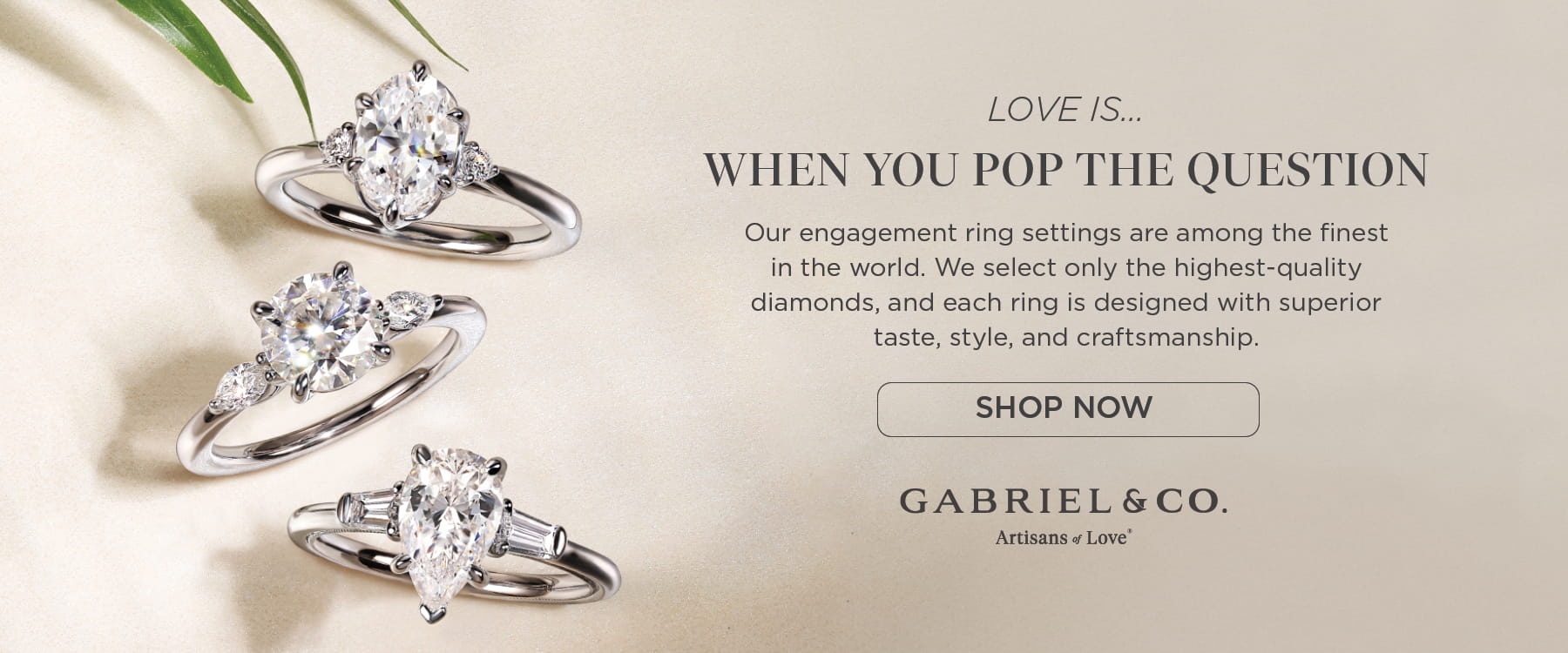 Gabriel and Co Engagement Rings at David Scott