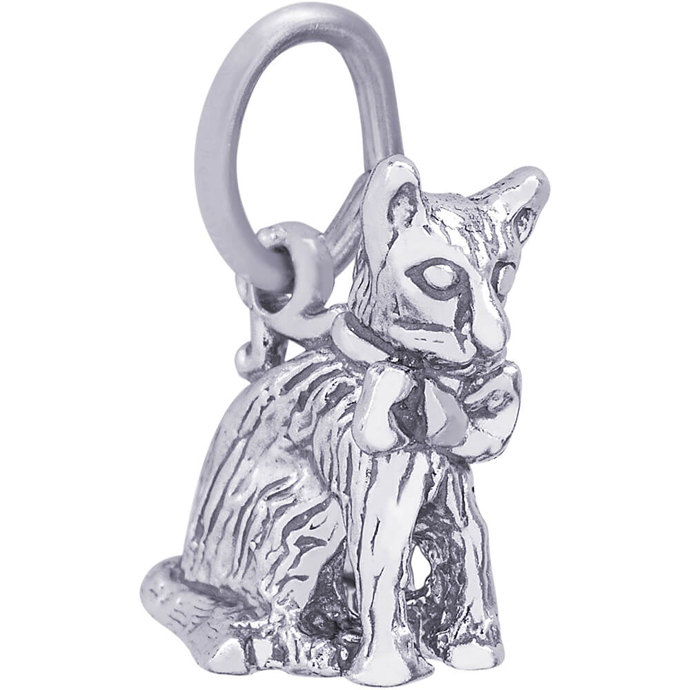 Rembrandt Cat Charm - Silver Charms